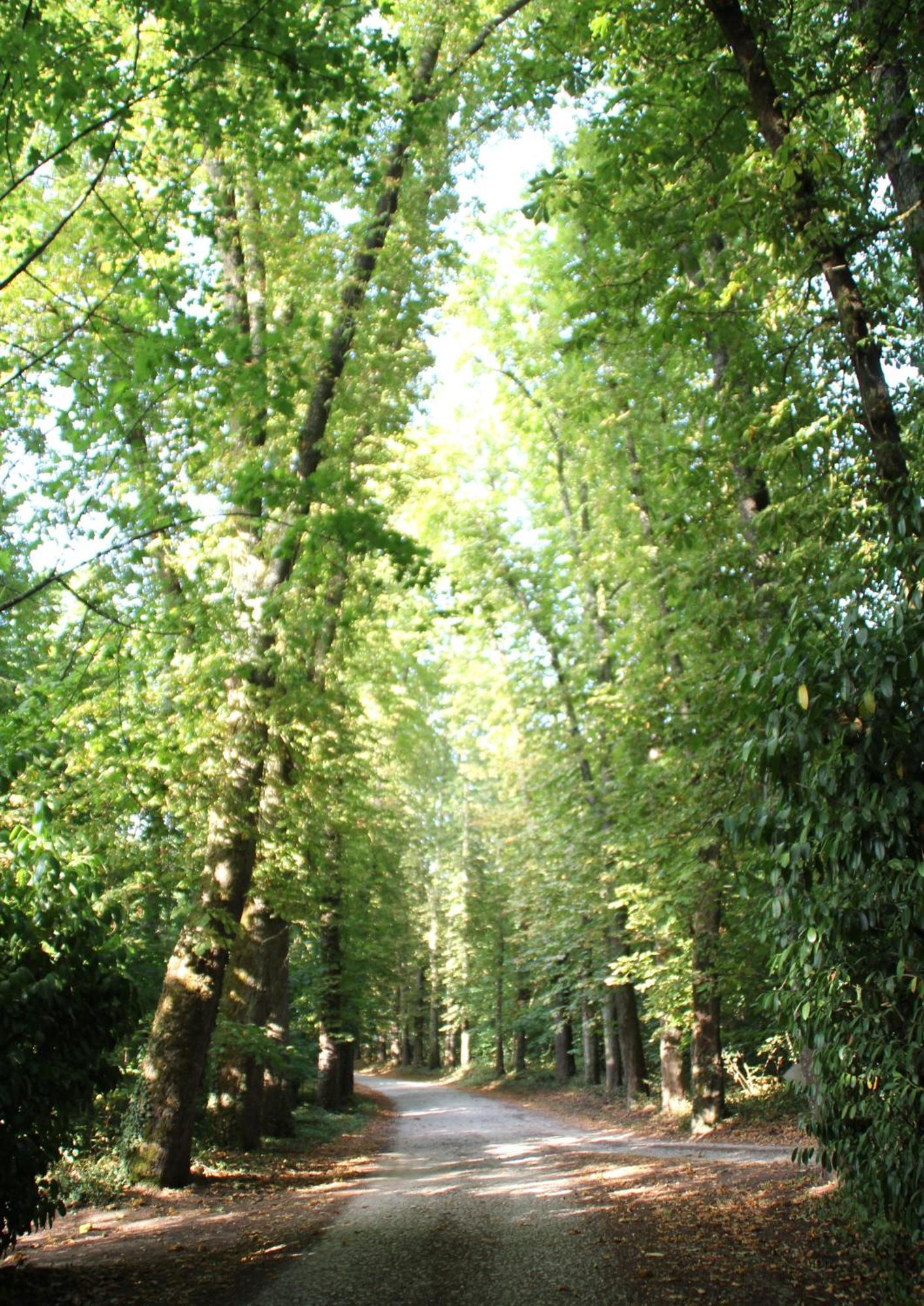 Gîte Le Haut Perché 4 pers. Saint-Gervais-la-Forêt Esterno foto